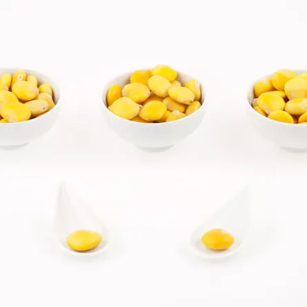 الترمس لشدِّ البشرة وتقليل التجاعيد