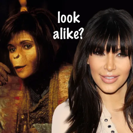 شبيهة Kim Kardashian قردة؟!