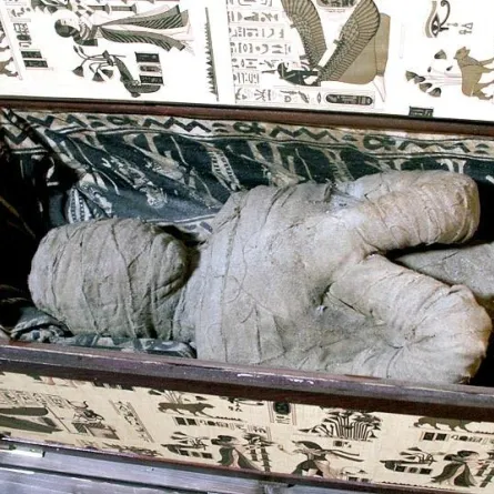 صبي ألماني عثر على مومياء في منزل جدته!