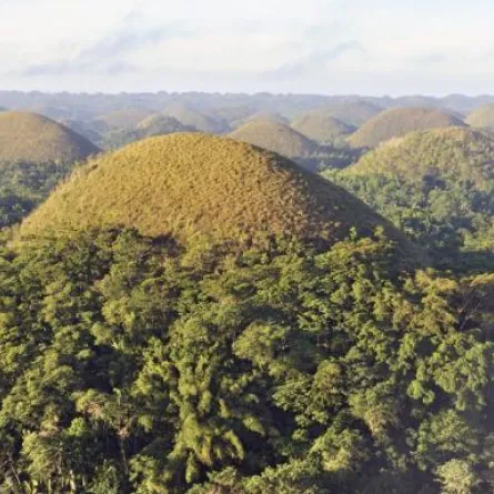 زوري "جزيرة الشوكولاتة" الفلبينية