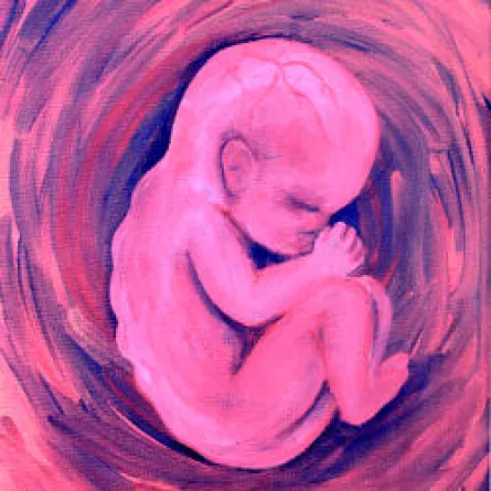 القبض على 5 خادمات تورطنَ في «عملية ولادة»