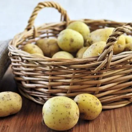 البطاطا بريئة من السمنة