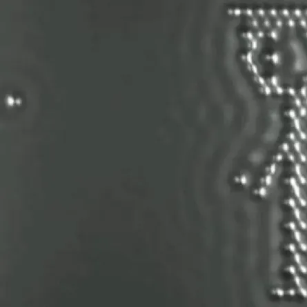 "الطفل والذرة" أصغر فيلم رسوم متحركة في العالم!!