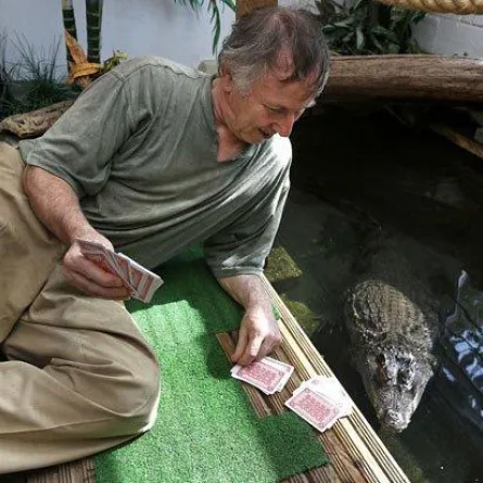 بريطاني ينفق 25 ألف جنيه إسترليني على تمساحه