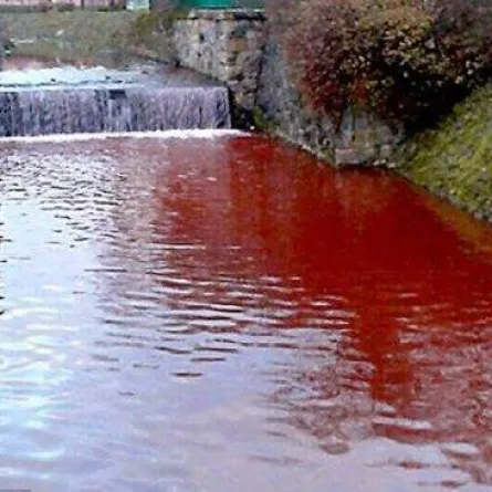 نهر الدم يثير الرعب في سلوفاكيا