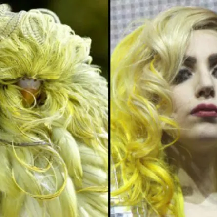 مشاهير أشبه بالطيور!