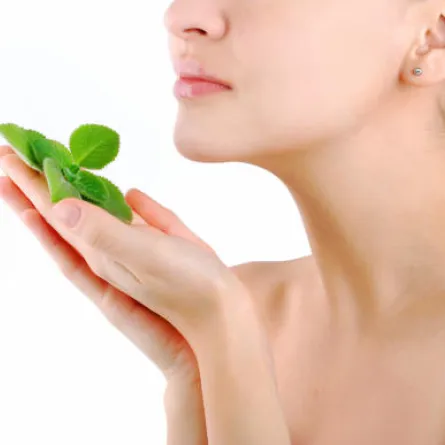 النعناع لمحاربة العرق