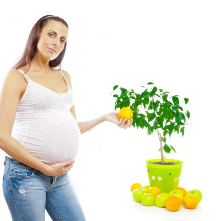 الغذاء المتكامل لحمل صحي 