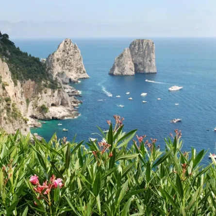 "المغارة الزرقاء" وسحر "كابري" البحري