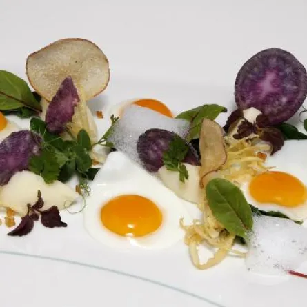 لفطور مميّز:بيض السمّان المقلي