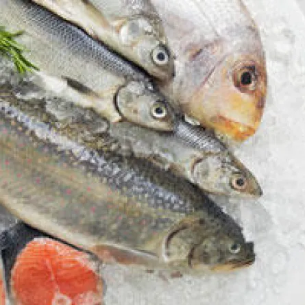 «السلمون» يمنحك خصراً نحيلاً ويجنِّبك الدهون!