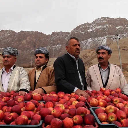 "مهرجان دبي السينمائي الدولي" يعلن أسماء الأفلام المشاركة في برنامج "ليالٍ عربية"