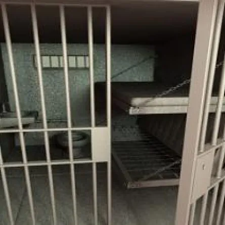 سجين فار يعود للسجن هربًا من البرد