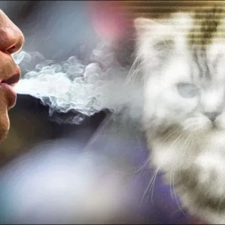 التدخين السلبيّ يضرُّ بحيوانات المنزل