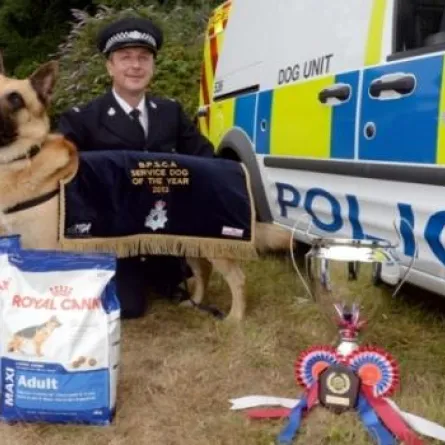 بريطانيا تمنح الكلاب رواتب تقاعدية