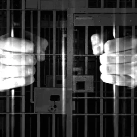 السجن لرجل رمى حبيبته بدجاجة