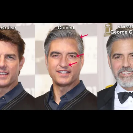 "سيدتي.نت" يستنسخ من النجوم وجوهاً جديدة...تعرفوا عليهم