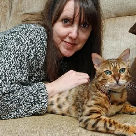 دورية شرطة لاعتقال قطة