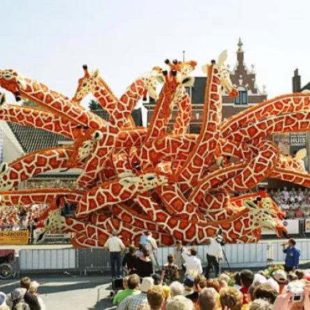 مواكب الأزهار الغريبة في هولندا