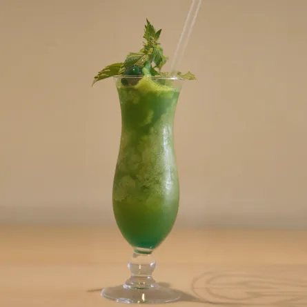 شراب الربيع