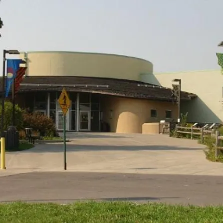 طفل يولد قرب الدببة في حديقة حيوانات