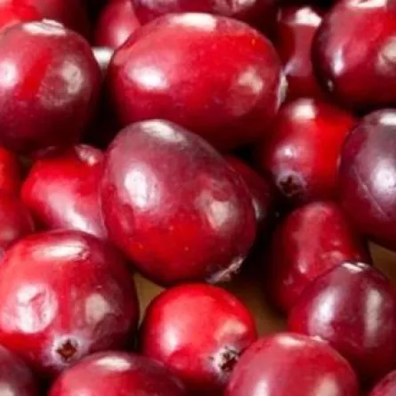 التوت البري ويؤخر أعراض الشيخوخة