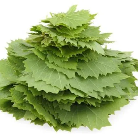 كيف تخزّنين ورق العنب؟