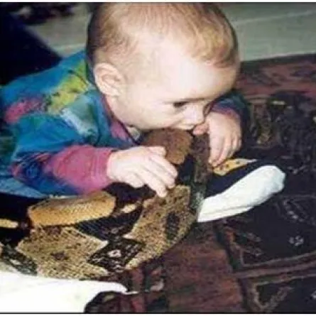 طفل جزائري يبتلع رأس أفعى!