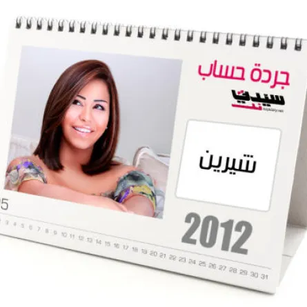 شيرين: طلاق وانفصال فني و the voice