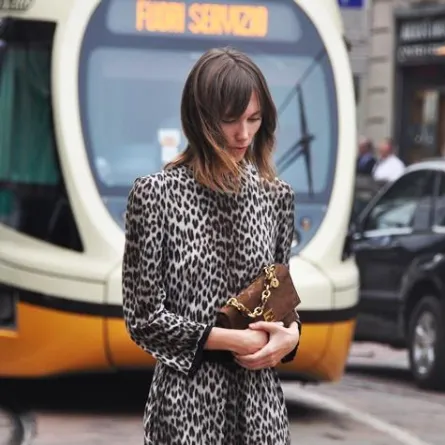 "جلد النمر" طبعة واحدة لكل موسم