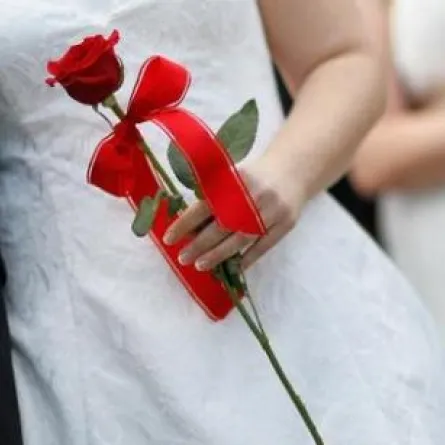 طلاق مجاني في عيد الحب