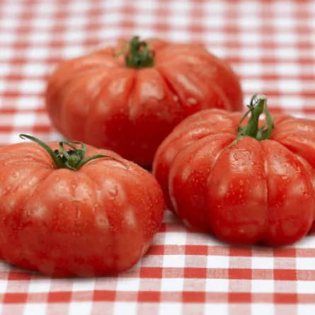 تمتّعي وعائلتكِ بفوائد الطماطم في وصفاتكِ