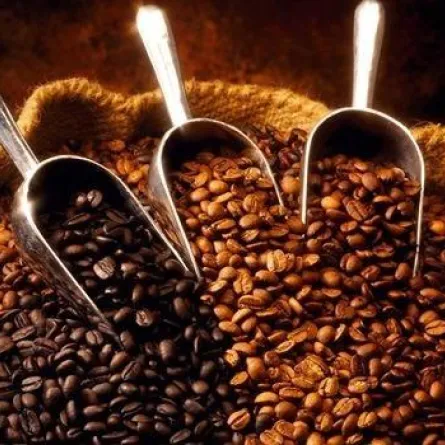 الكافيين يحفز الذاكرة البصرية لمدة أقلها يوم واحد