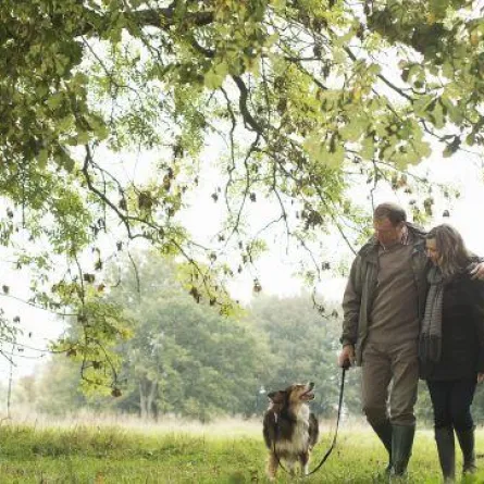 حضانة الكلب بعد الطلاق أصعب من حضانة الأطفال