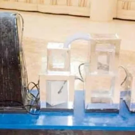 سعودية ترفض عرضين بمليارات الدولارات لشراء فكرتها