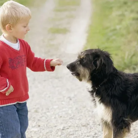 نجا من إعصار.. ليقتله كلب