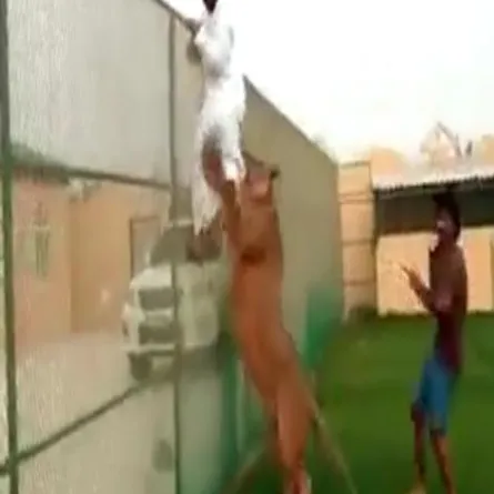 الملحن السعودي خالد عبد الكريم ينجو من أنياب الأسد