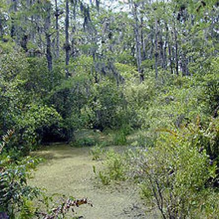 بعد فاجعة لمى.. غرق عشرينية في مستنقع