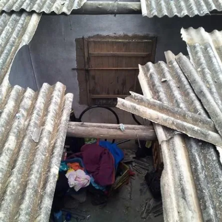 بقرة تقتل رجلاً في البرازيل