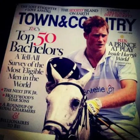 الأمير هاري أفضل عازب لعام 2013