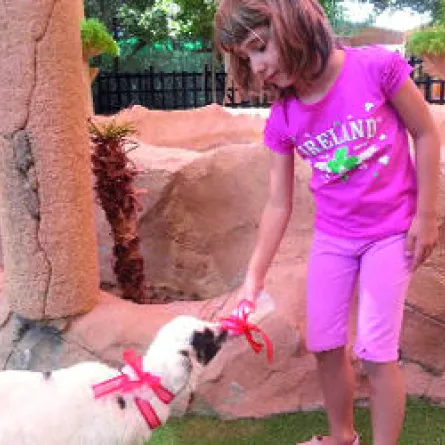 حديقة الإمارات للحيوانات تحتفي بـ «عيد الحب»