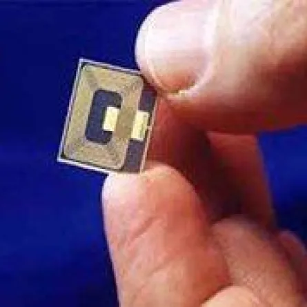 شريحة ذكيَّة تسمع أصوات البكتيريا!