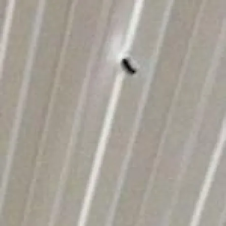 رصاصة عرس كادت تقتل رجلاً وهو يصلي