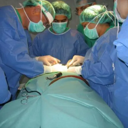 اكتشاف جديد يبقي الكبد حيَّاً خارج الجسد