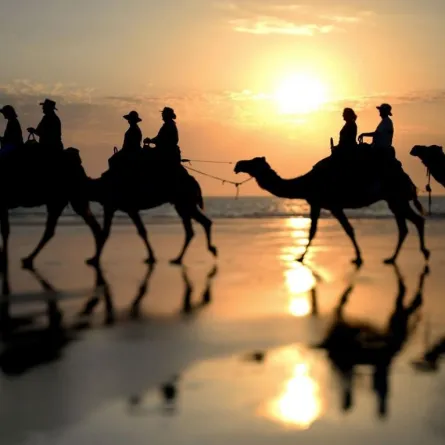 زوري "بروم" لؤلؤة "أستراليا" الغربية