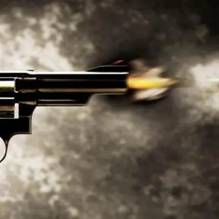 أطلق النار على لوحة لأنها لم تعجبه