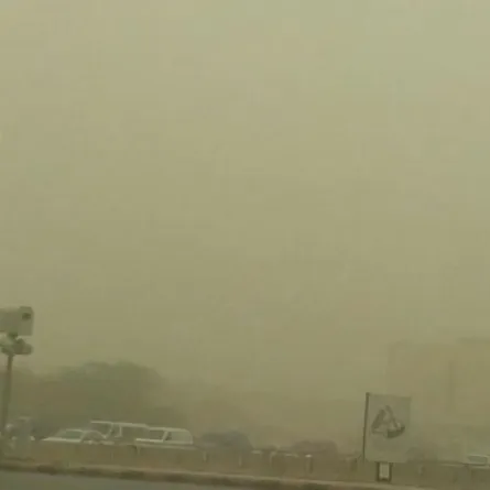 بالصور.. سكان الرياض يغرقون في الغبار