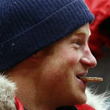 الأمير هاري داخل ثلاجة