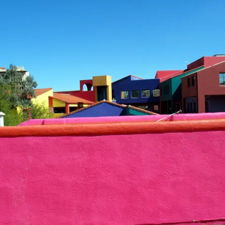 جدران وردية للسجون في سويسرا