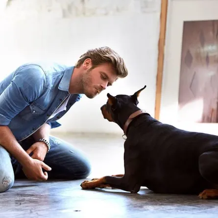 مهند يبحث عن شقة راقية في باريس